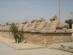 Bilder Ägypten-007